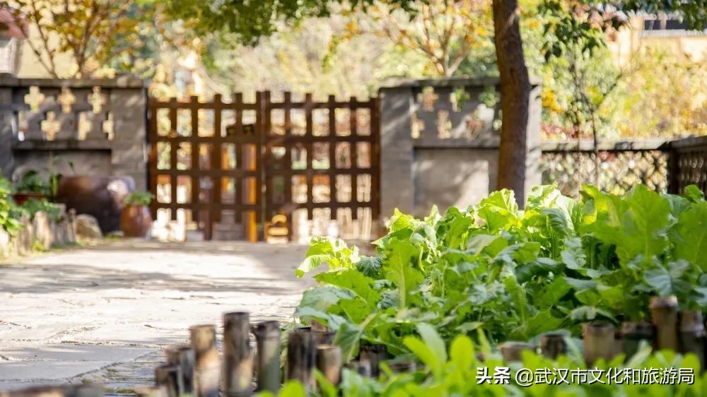 六一+端午的超级快乐将被这里承包，亲子水乐园+多彩绣球花，免费畅玩打卡，游玩攻略请查收