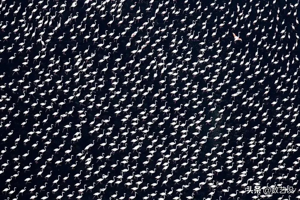 无人机宇宙摄影,无人机拍出十大奇观