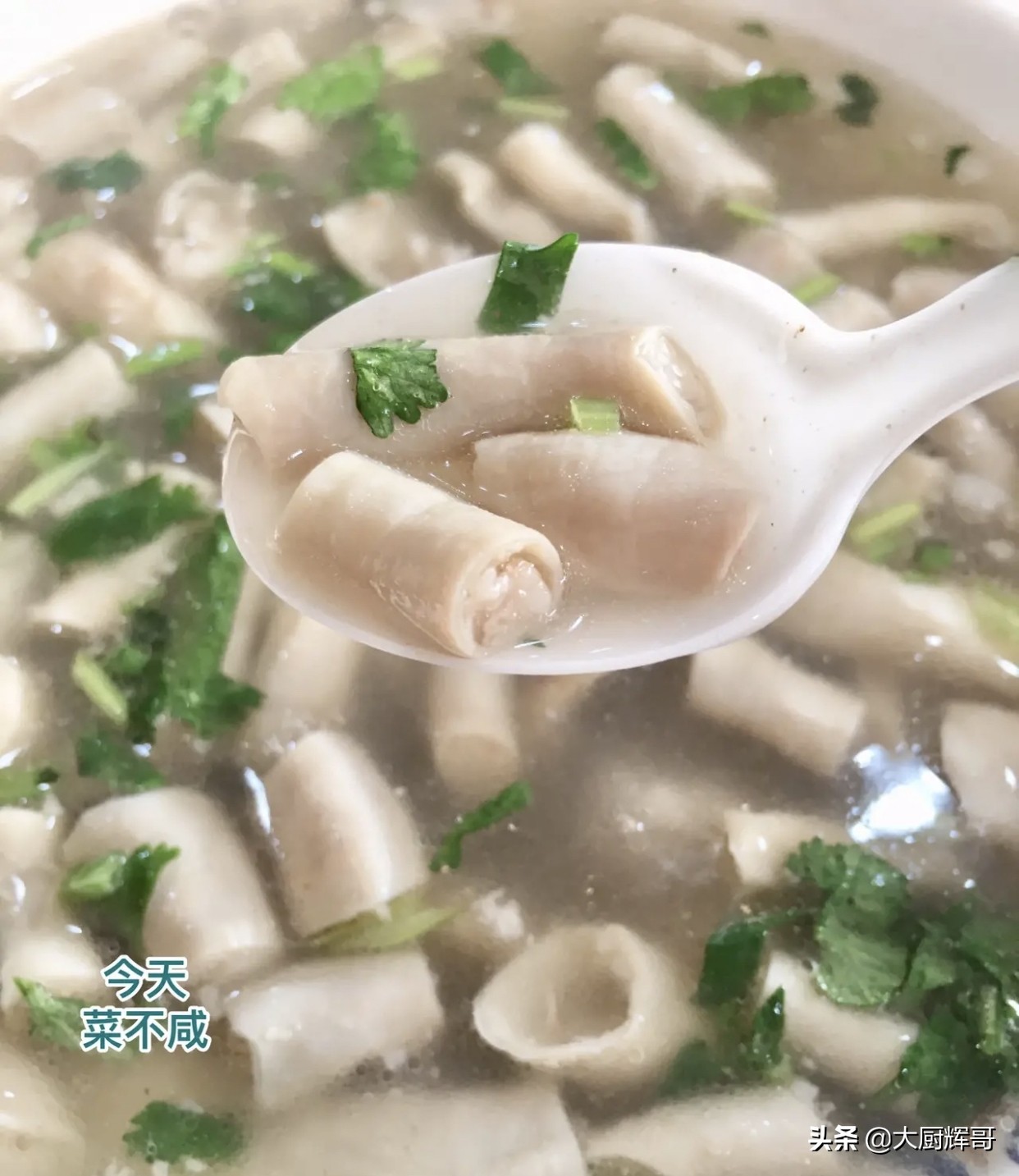 沧州最正宗羊肠子汤,沧州人的快乐从一碗羊肠汤开始