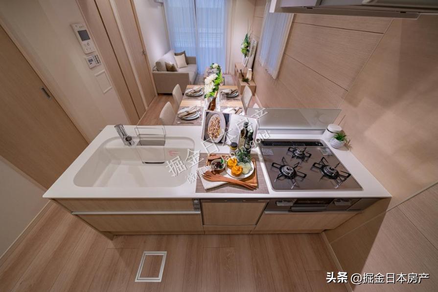 东京豪华2居室公寓,东京2ldk公寓多少钱