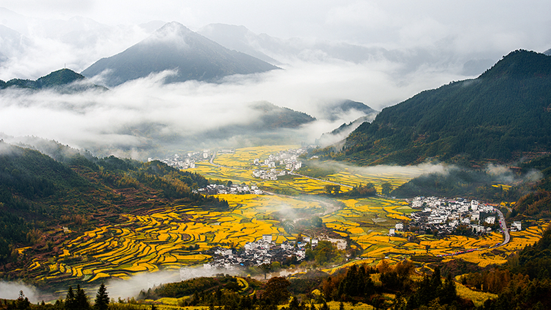 春色满园风景摄影,婺源摄影写真