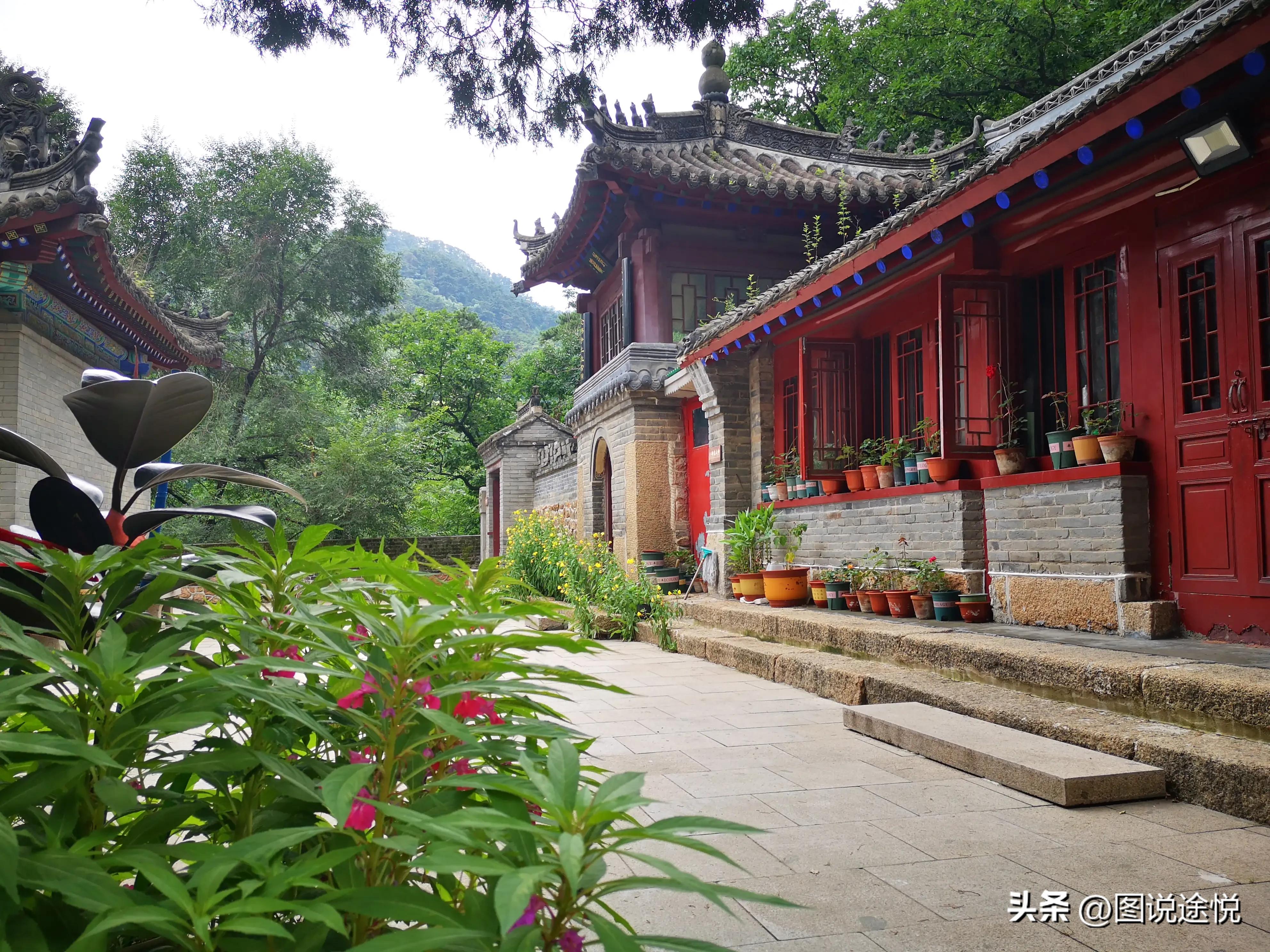 康熙时期皇家寺院,康熙王朝康熙得了天花片段