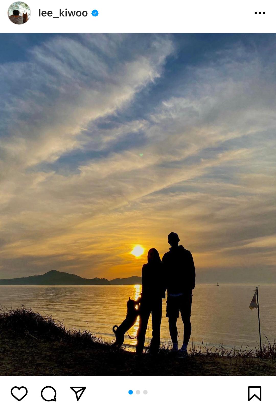 两人一狗三餐四季领证,两人一狗三餐四季视频