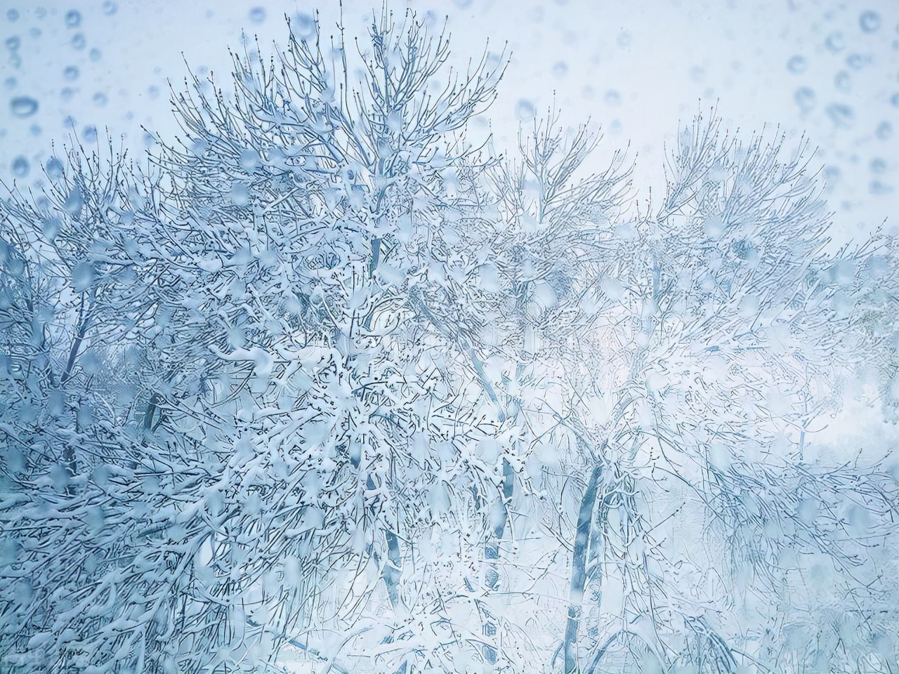 揭秘兰州往事,兰州往事马爷故事