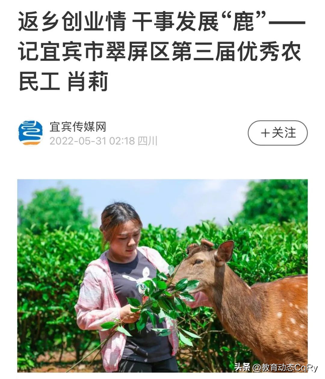 萌宠乐园报道创业青年肖莉昨日励志演讲，如今为何遭拆除要说法？