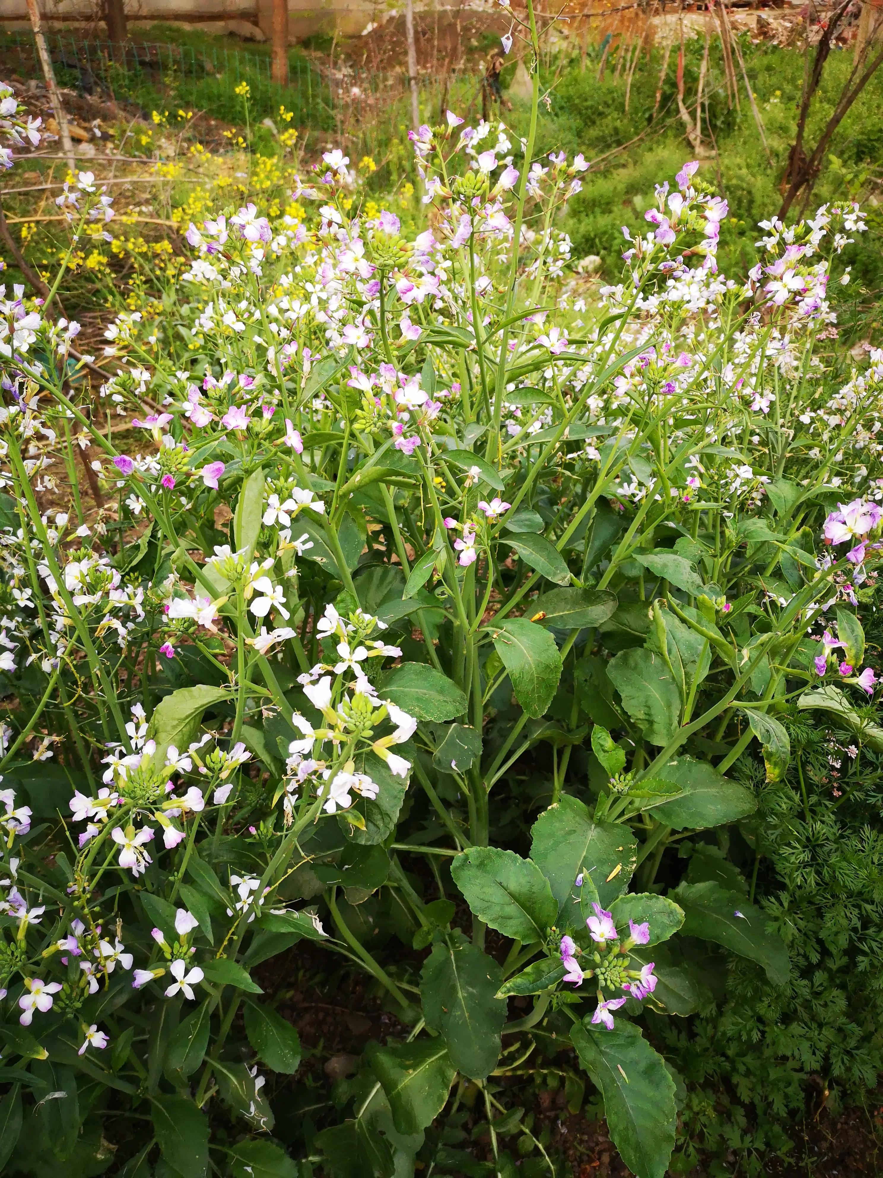 30多岁颓废男人,30多岁颓废的男人