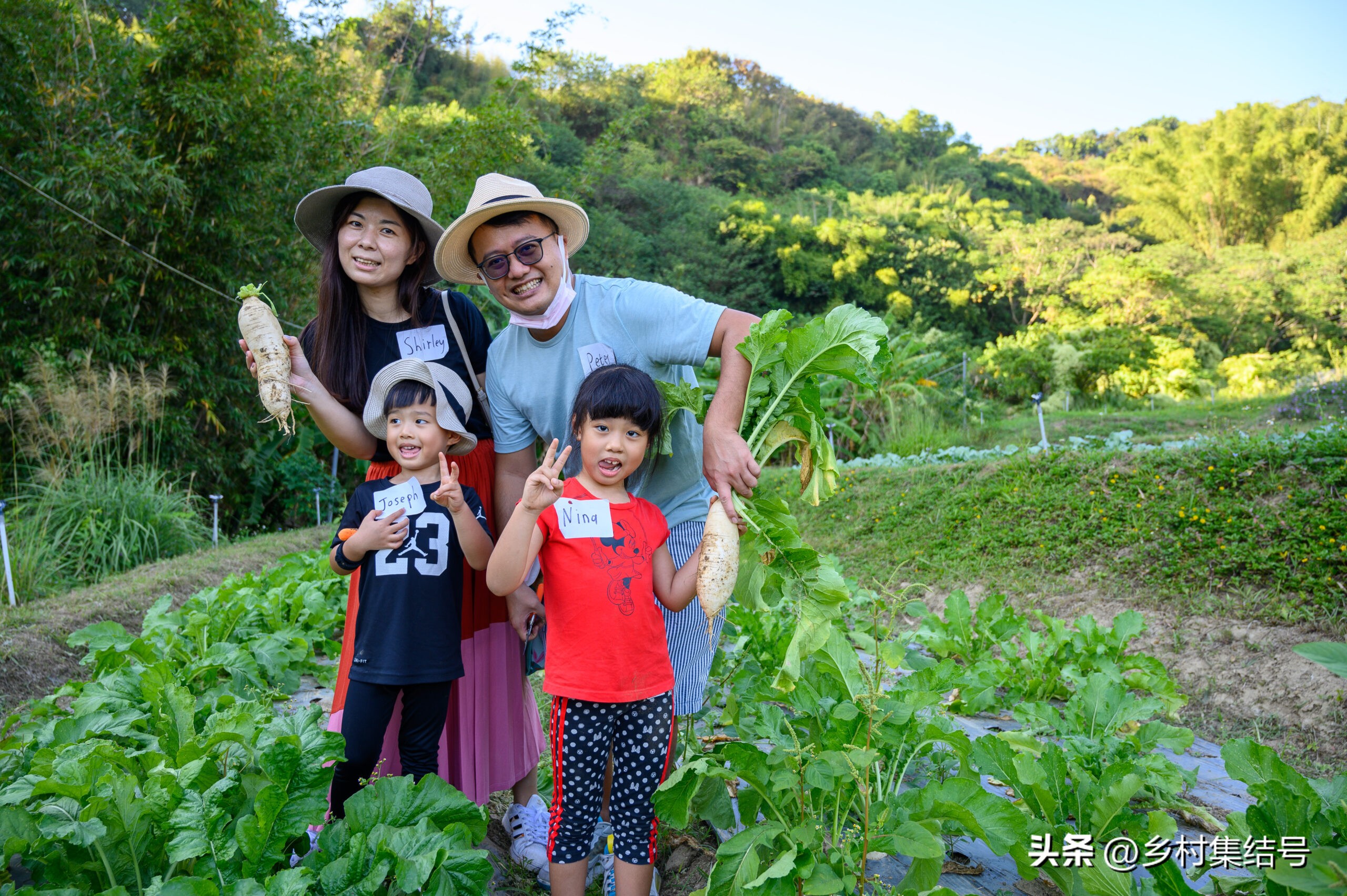台湾小瓢虫农场,台湾小瓢虫