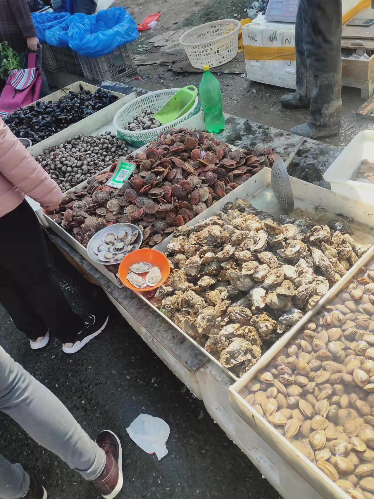 大连海岸现在钓什么鱼,大连熟食品批发市场有哪些好吃的