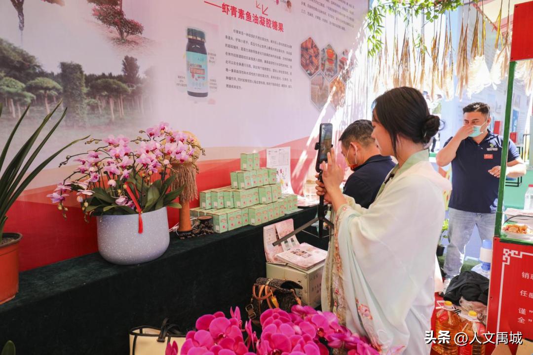 禹城2022丰收节开幕仪式,中国农民丰收节禹城会场