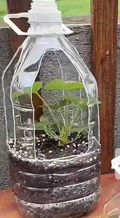 学会了省钱也该学着挣钱了,学会了副业就等于捡钱