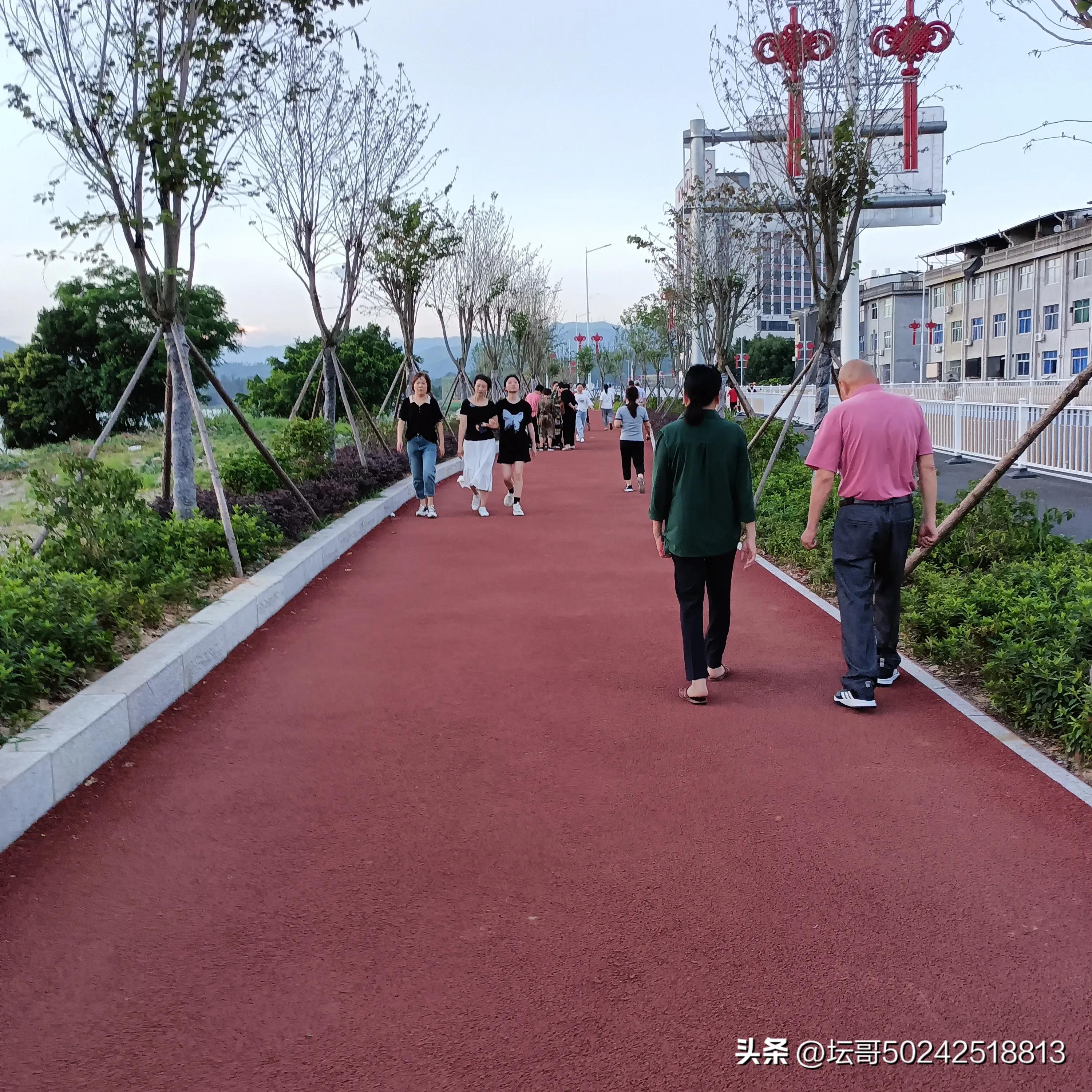 赛岐凤尾鱼价格,赛岐凤尾鱼