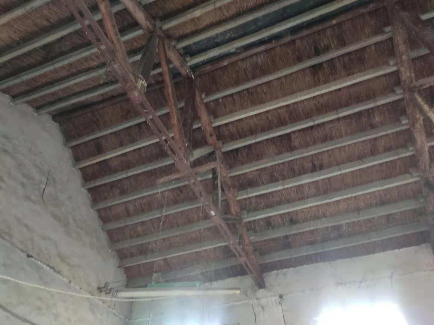 大汶口供销社,鼎盛时期的经济