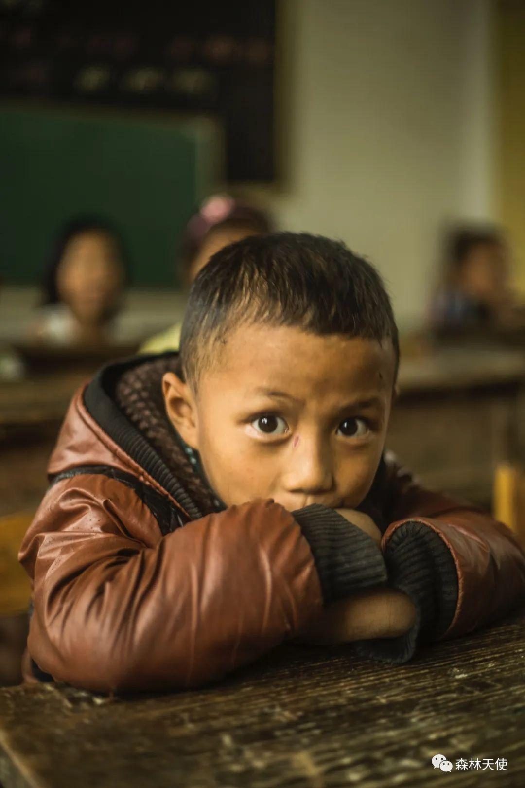 快来看看你捐的玩具都去哪了|森林天使公益