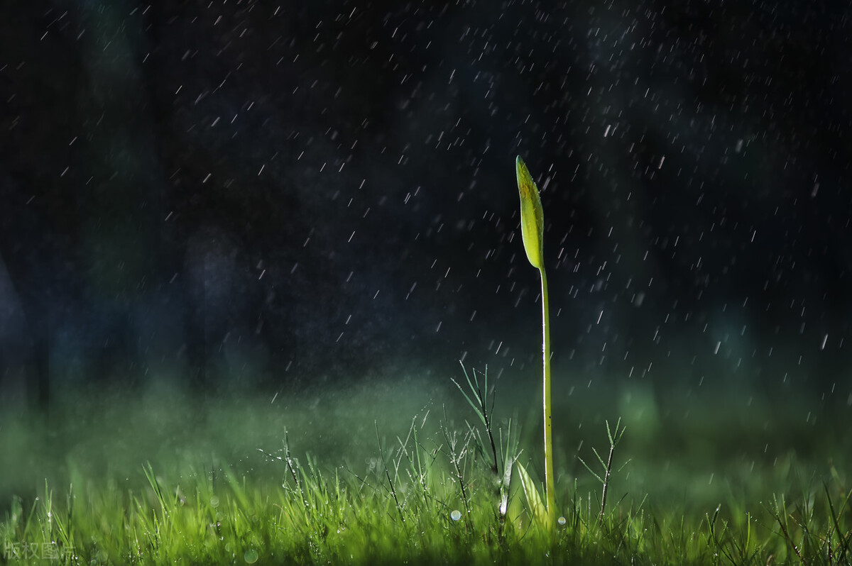 相机怎么调拍照好看详细教程,如何快速学会相机拍照