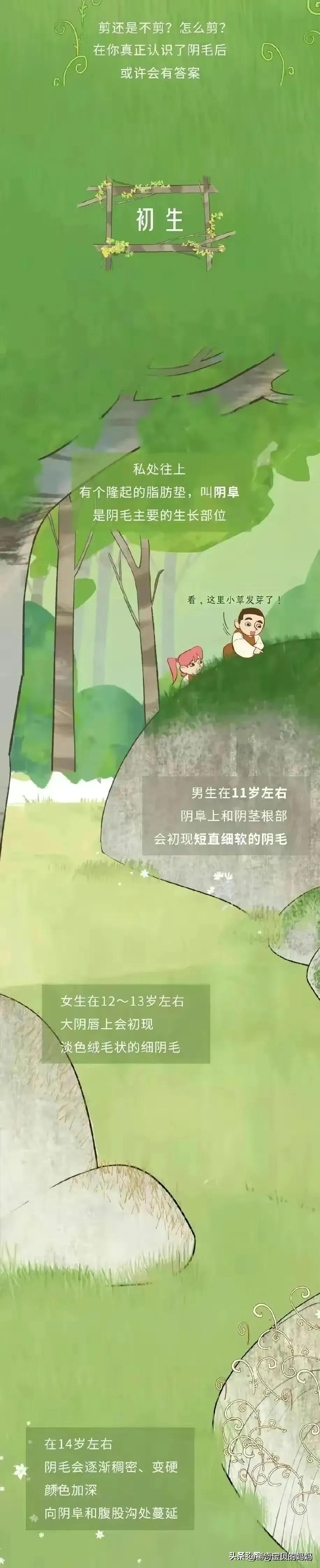 人类阴毛从初生到脱落的全过程，中间都会出现哪些变化？