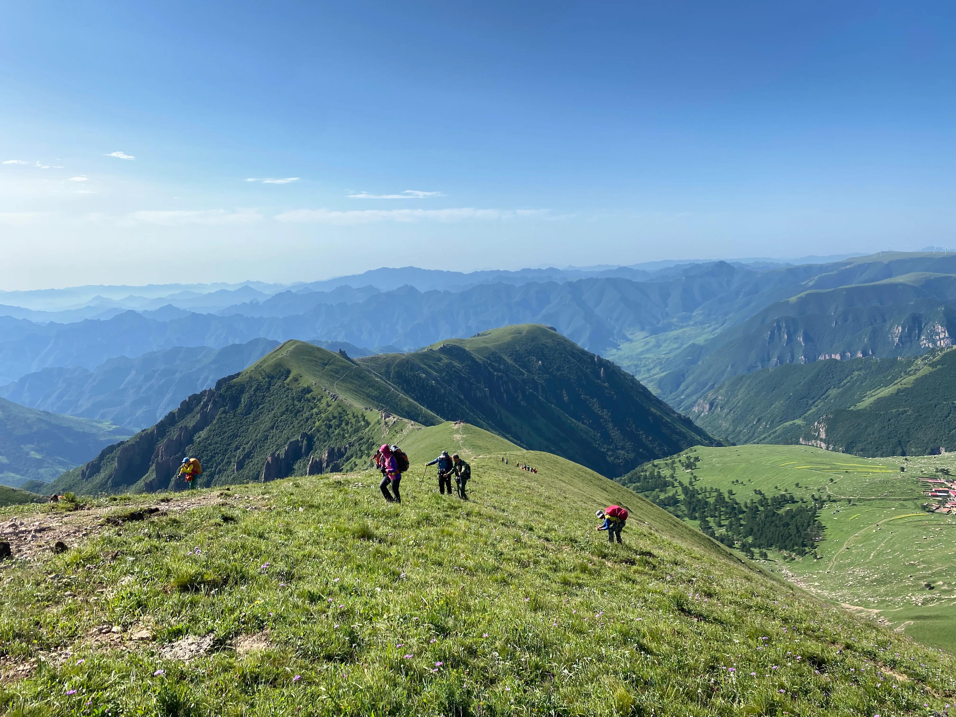 川西高山草甸云海露营,川西高原露营看云海星空