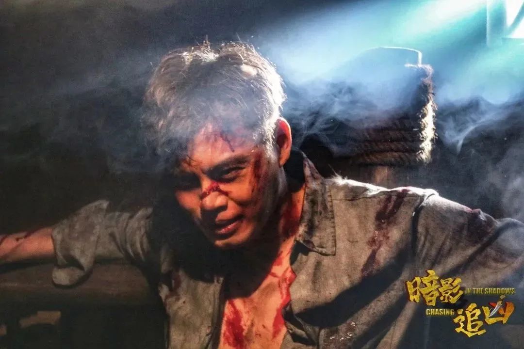 暗影追凶电影完整版女警察,电影猎影追凶剧情介绍