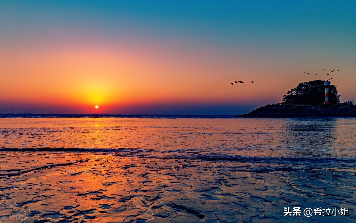 为啥会喜欢厦门,你为什么爱上厦门