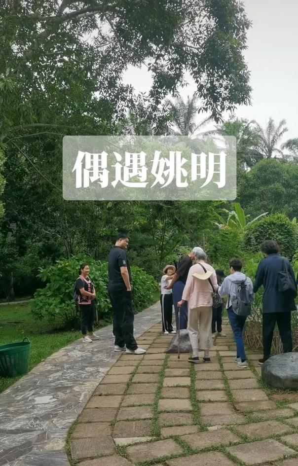 姚明现身云南！姚妈妈拄拐杖一头白发，姚沁蕾身高快1米9了
