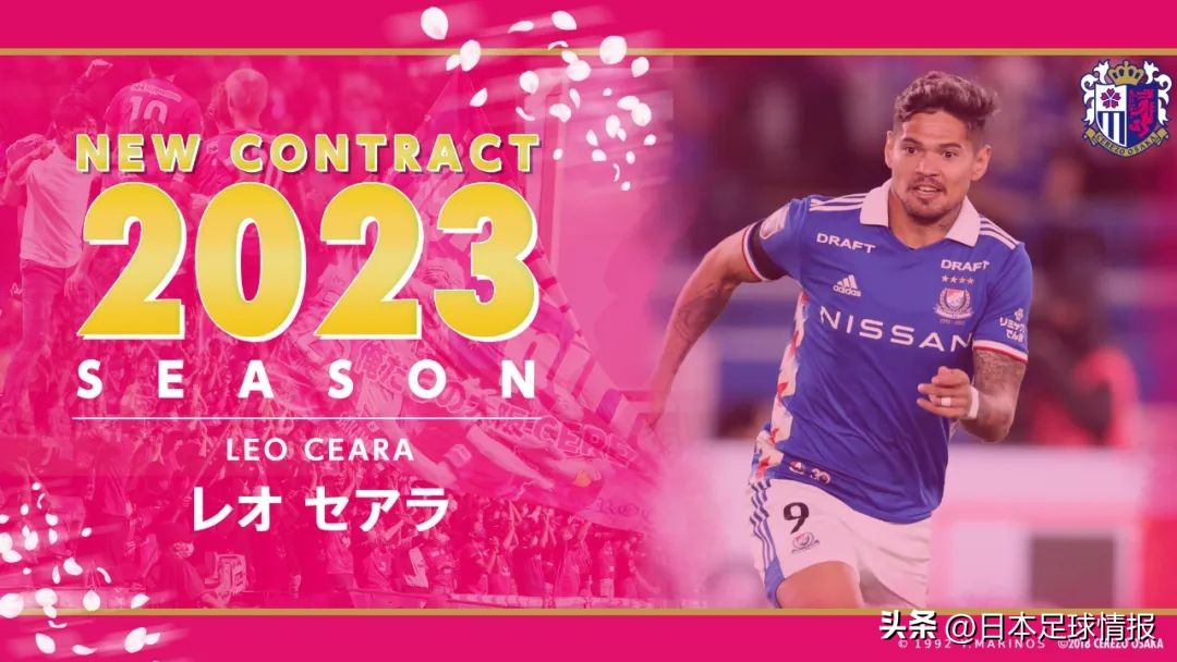 2024赛季日职联各队巡礼,今日日职联大阪樱花预测