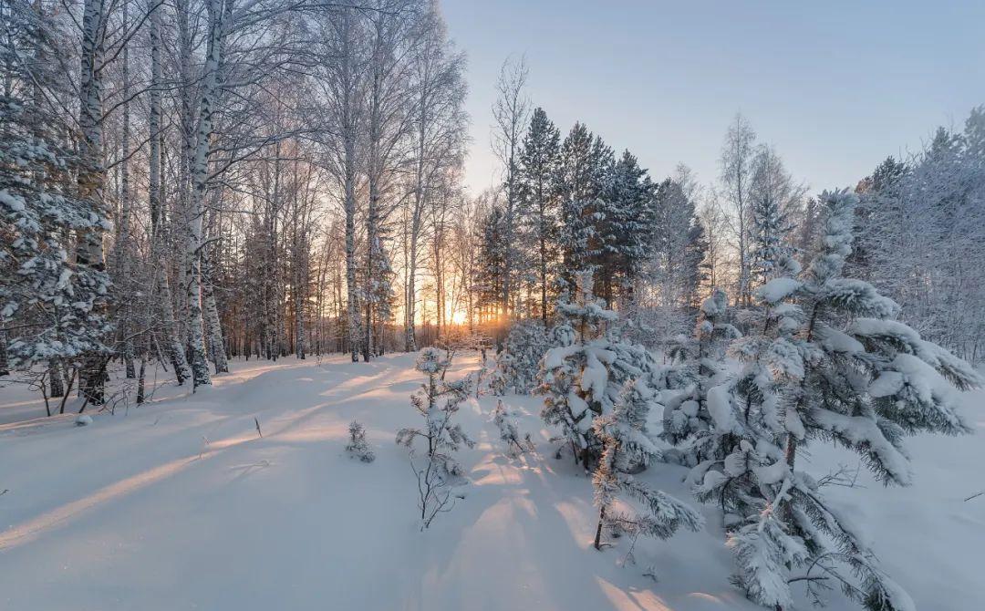 如何跟吝啬的婆婆相处,女人做到这三点婆婆才不敢小看你