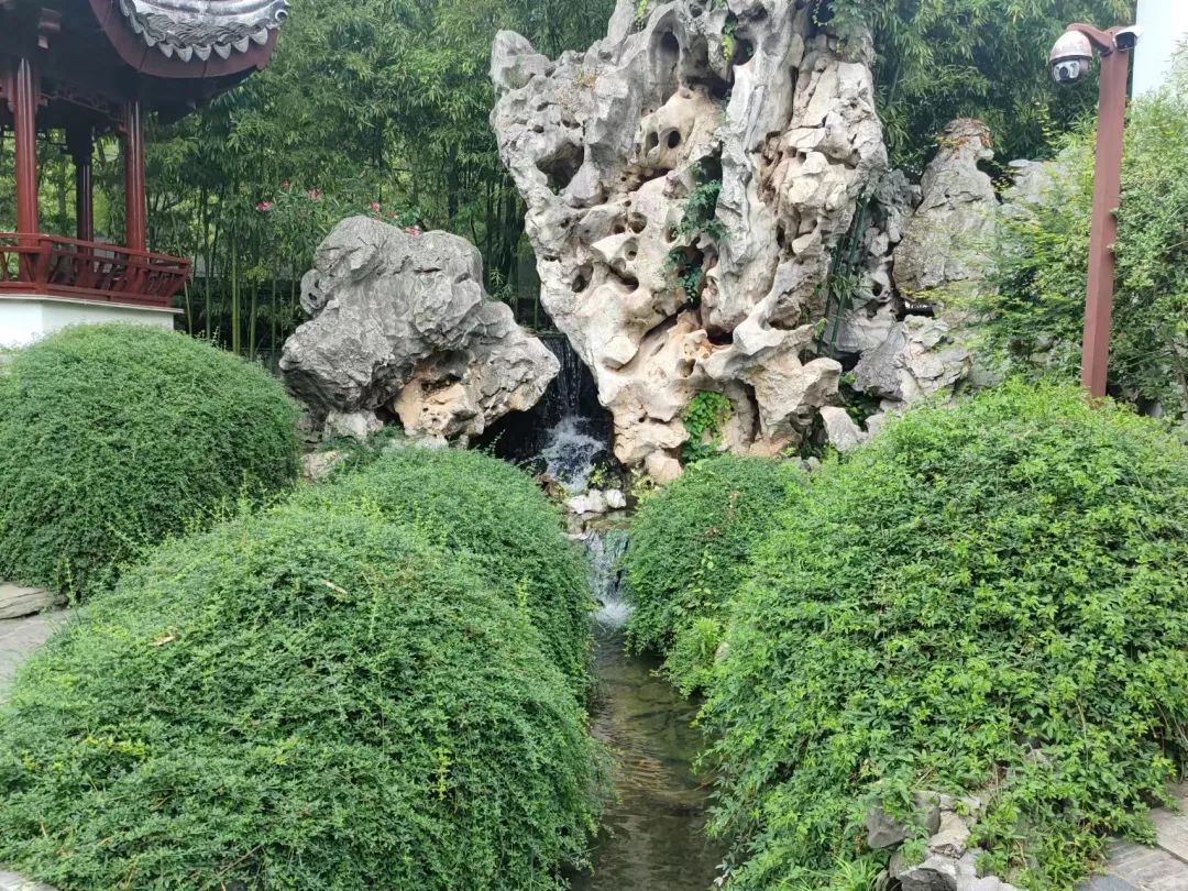 旧时王谢堂前燕出自南京吗,六朝古都旧时王谢堂前燕