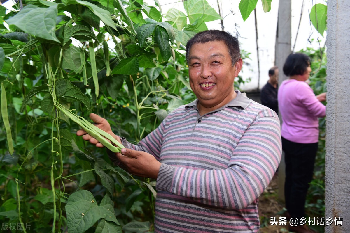 em菌能增产多少,用em菌发酵有机肥的方法