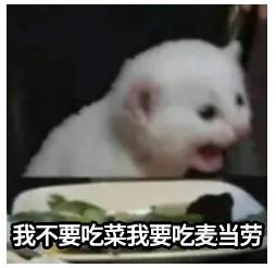 拉屎比以前臭了怎么回事,每天拉屎为啥还那么臭