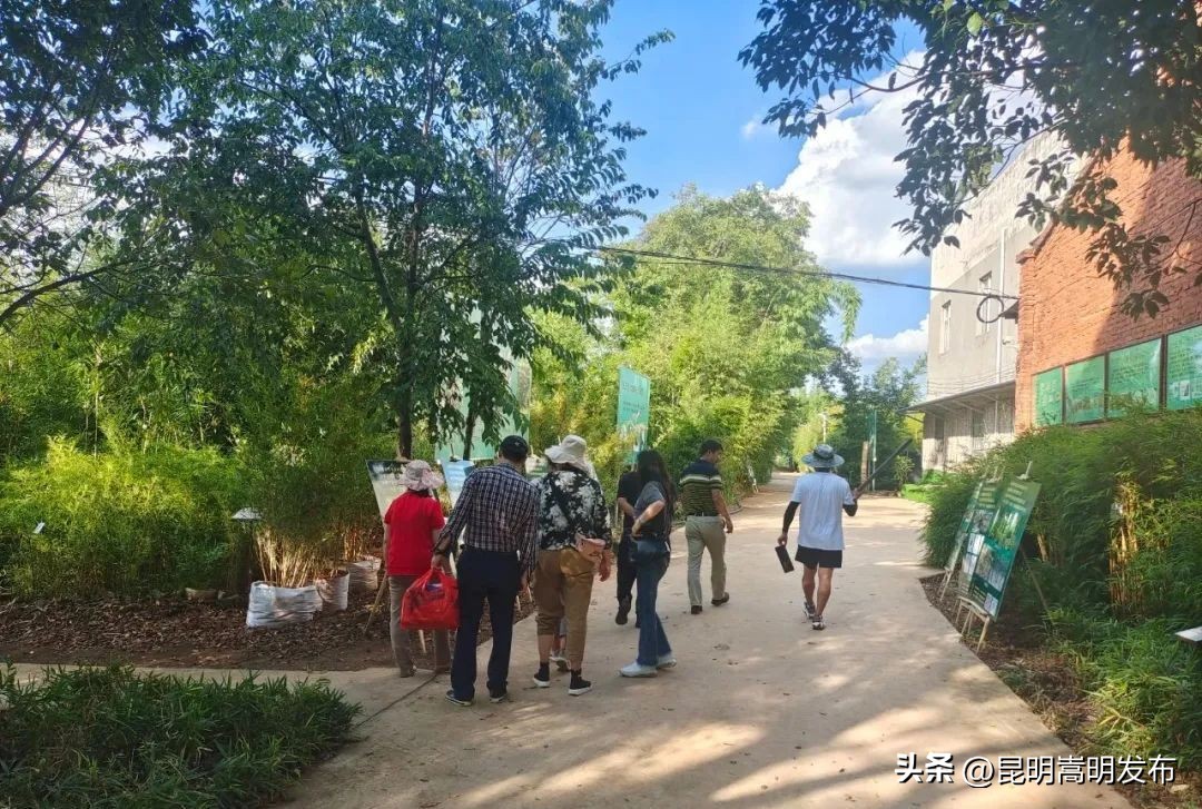 花博会云南,花博会来了