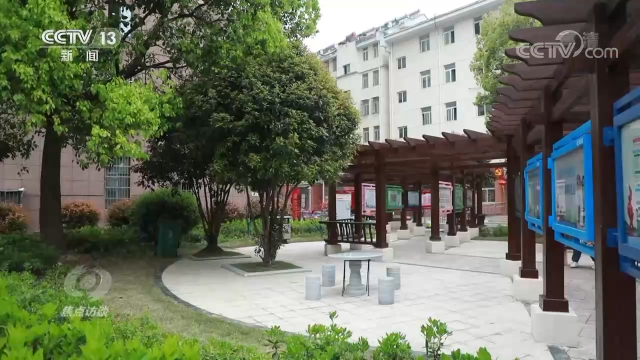 焦点访谈致敬为梦想拼搏的人,焦点访谈百年奋斗启程