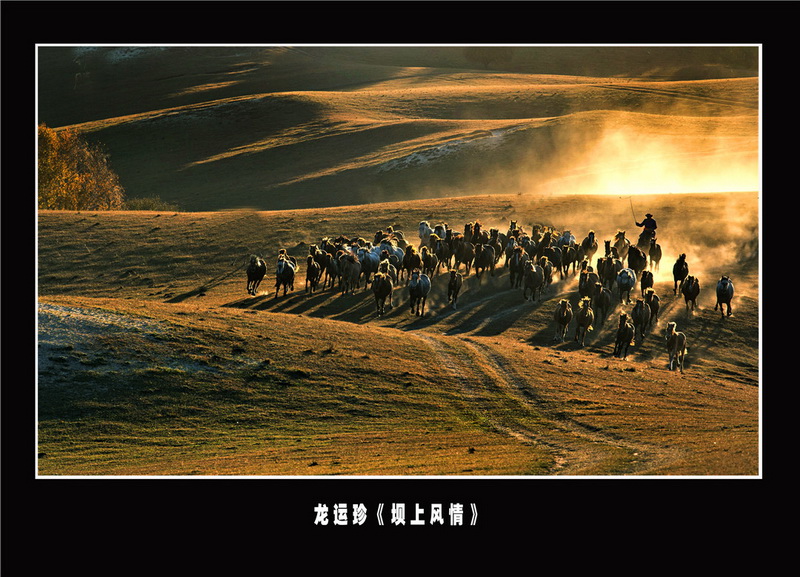 “喜迎*党**的二十大，巾帼老兵抒豪情”诗书画摄影电脑作品展