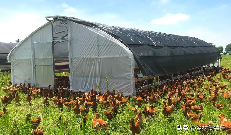 有机农场怎么做,有机农场怎么打造