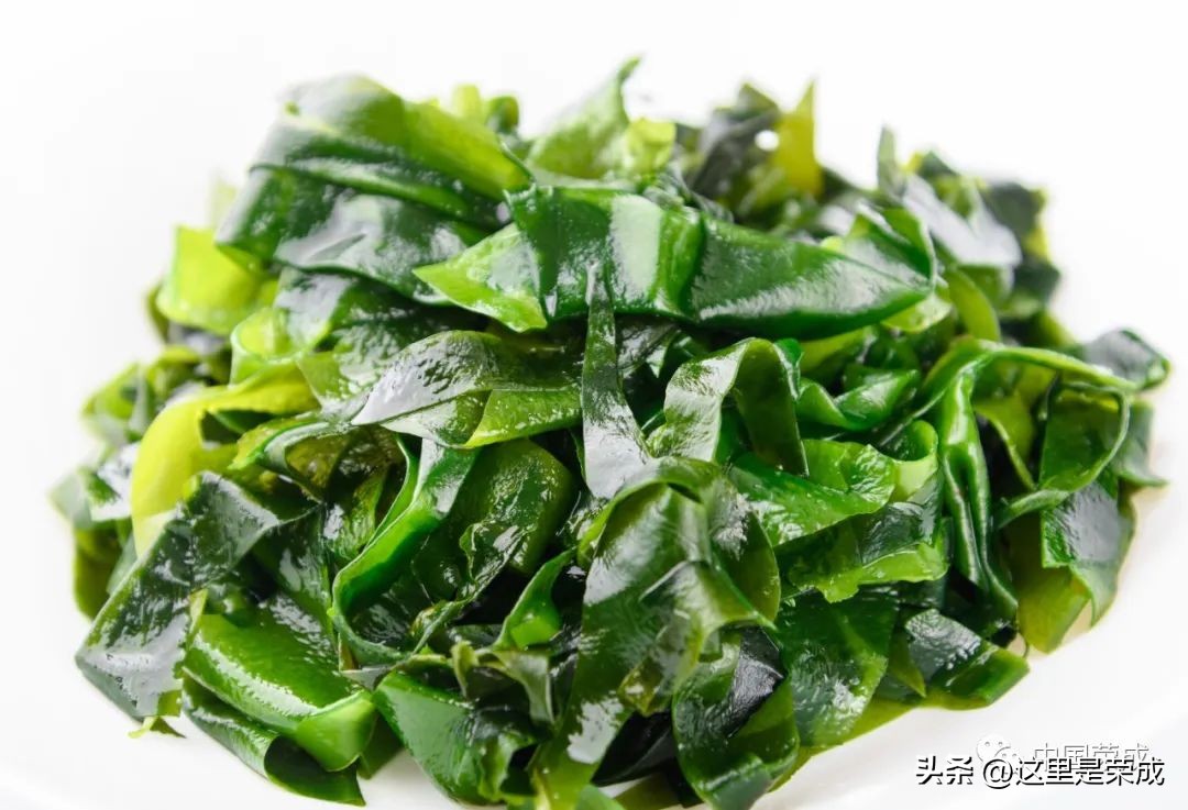 异域风情的漂亮植物,好看又清雅的植物