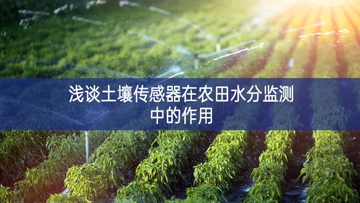 土壤水分传感器与叶绿素仪思考题,土壤水分传感器