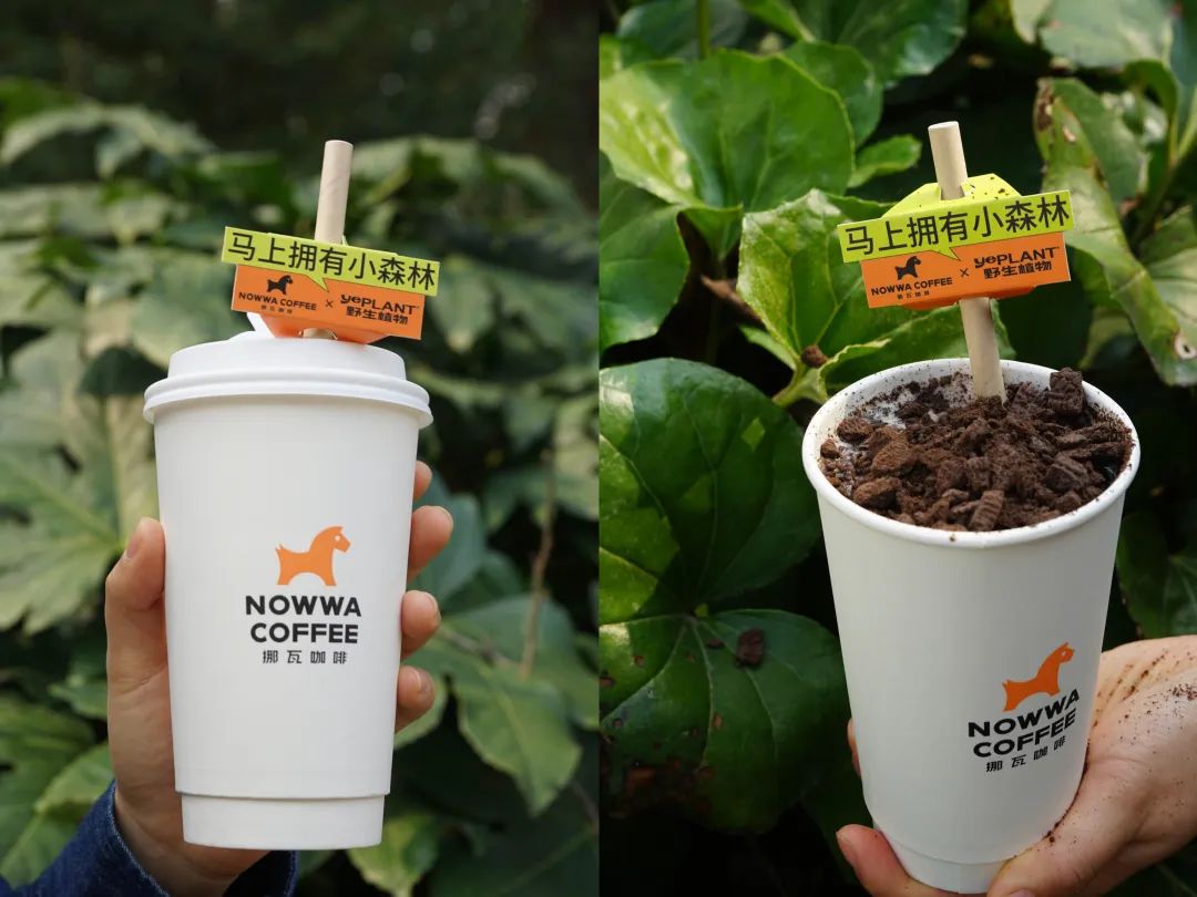 喜茶投资的咖啡,喜茶投资一家店多少钱