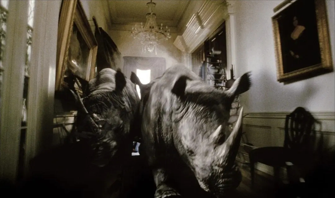 圣甲虫吃掉木乃伊,可怕的木乃伊圣甲虫