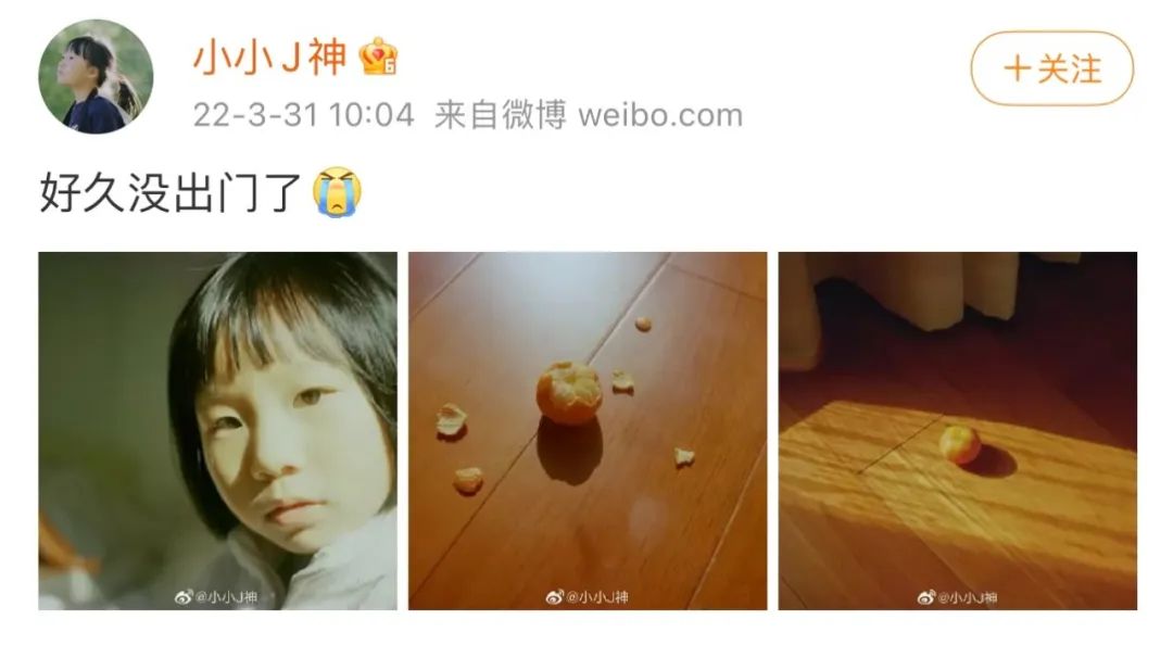 拍欧阳娜娜的小摄影师,年龄最小的摄影网红