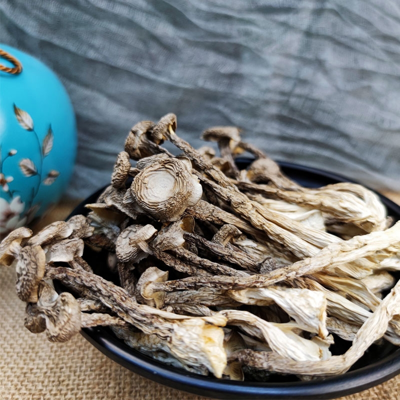 小萌食记｜长得很可爱的鹿茸菌，是无死角的美食