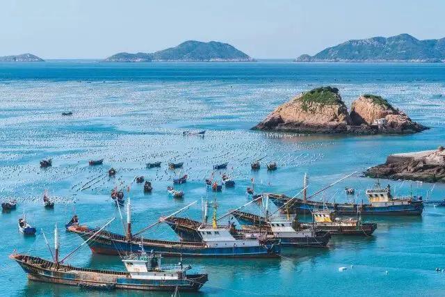 嵊泗花鸟岛和枸杞岛亲子游,嵊泗花鸟岛和枸杞岛哪个值得去