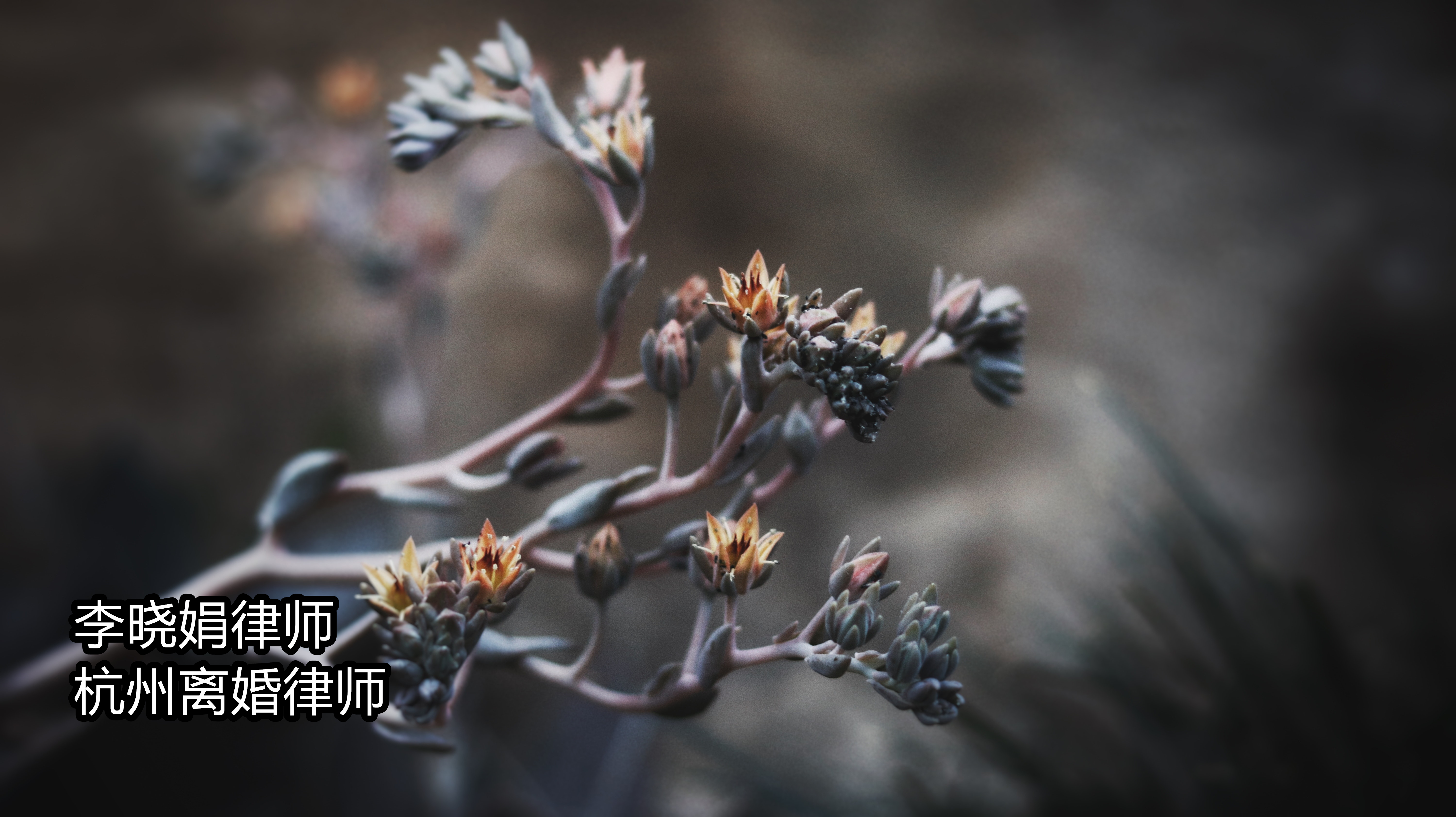 离婚协议达成后男方不给钱怎么办,协议离婚约定的钱不给怎么办