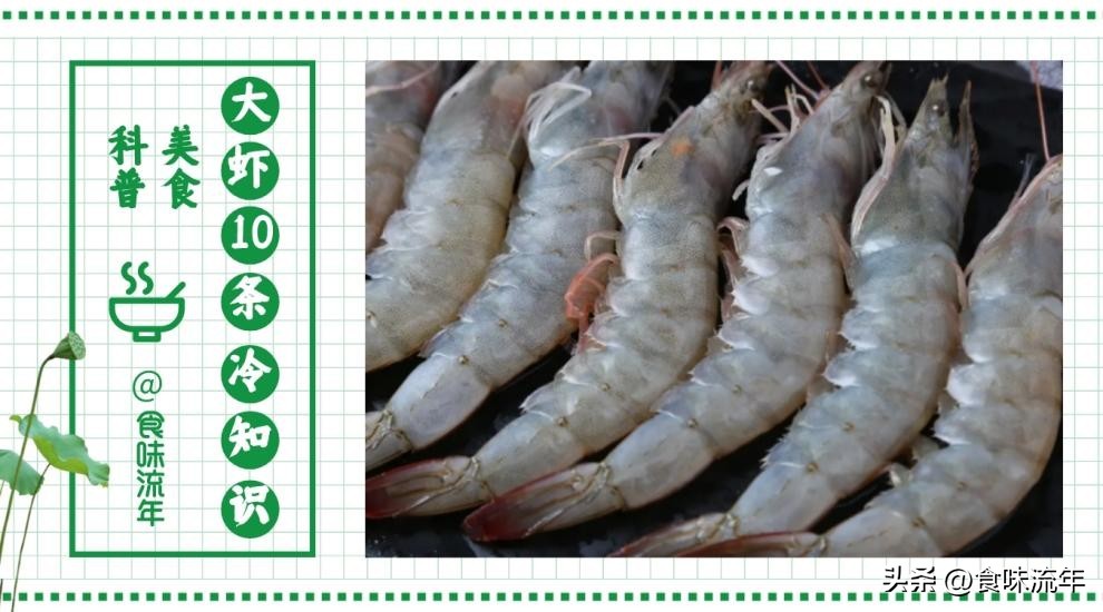 虾仁白灼虾正确做法,虾头不要的盐水虾的正确做法