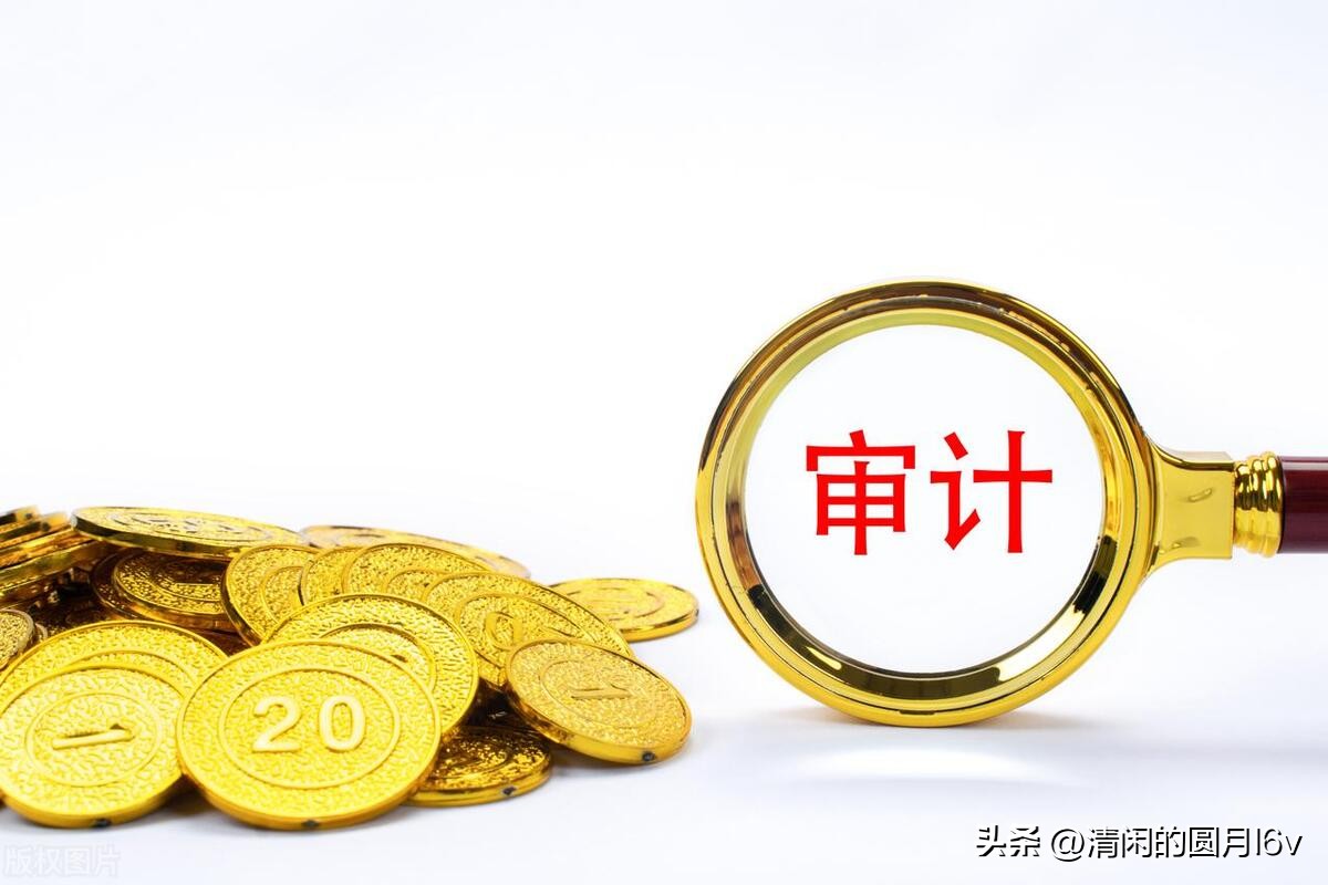 审计学专业详细解读,审计学专业大学排名