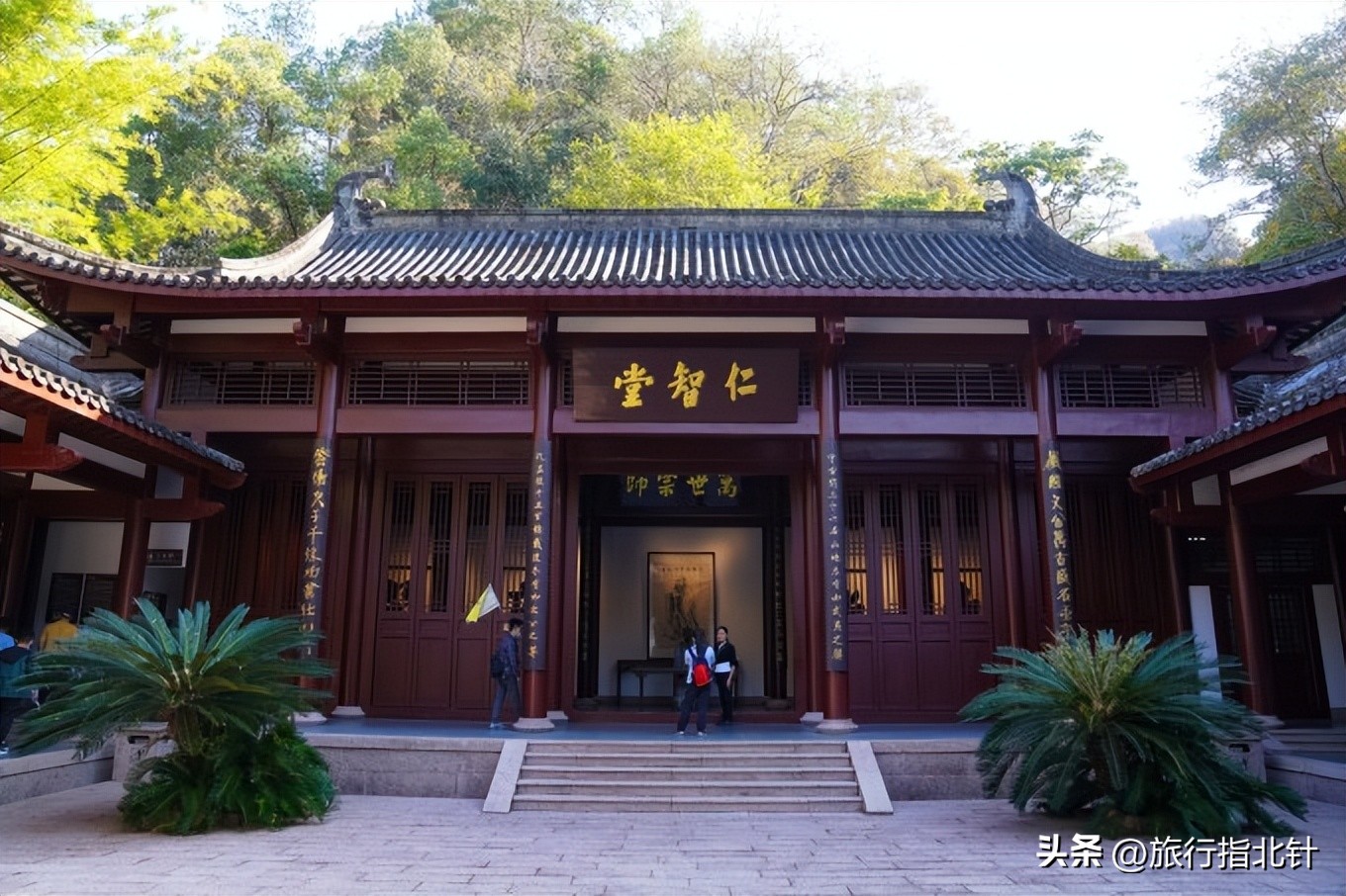 福建旅游攻略武夷山,福建武夷山旅游攻略一日游