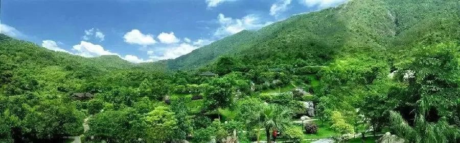 云浮大云雾山自驾游,广东云浮出发4-5天旅游推荐