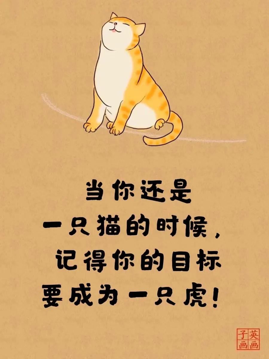 老虎不发威你当我是病猫电视剧,老虎不发威你当我是病猫下集