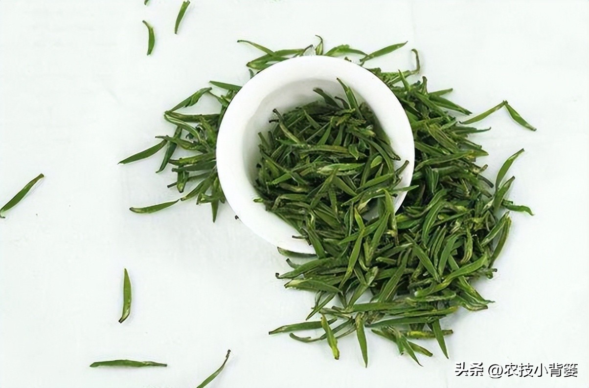 冬季喝茶健康常识,深冬喝茶这2种茶要多喝