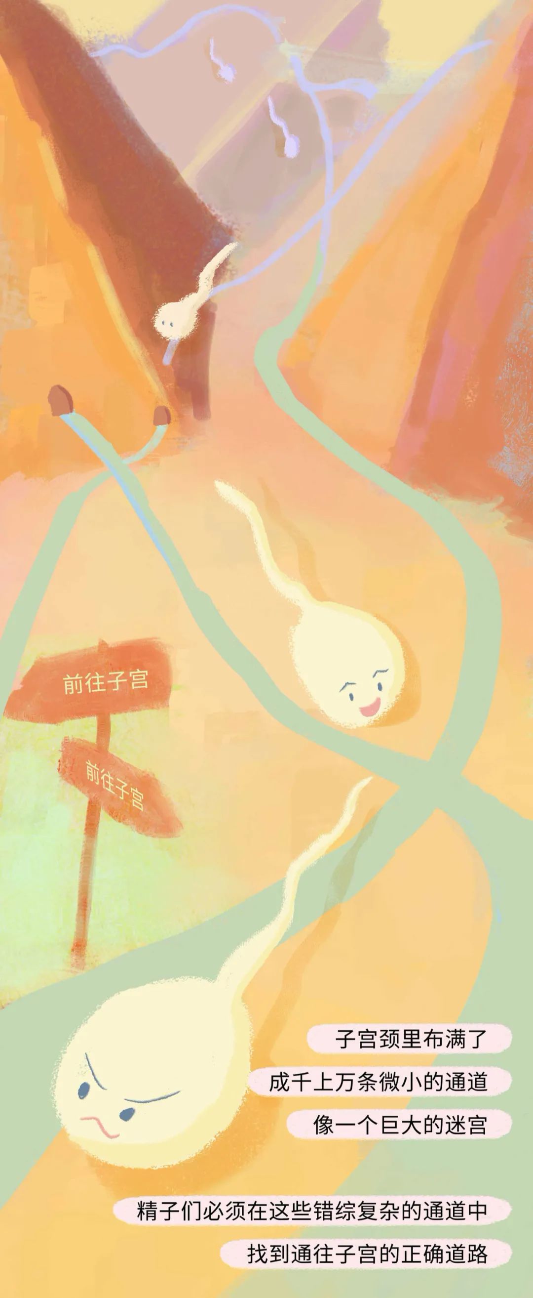 精子进入女生体内的全过程曝光！不要再傻傻不清楚