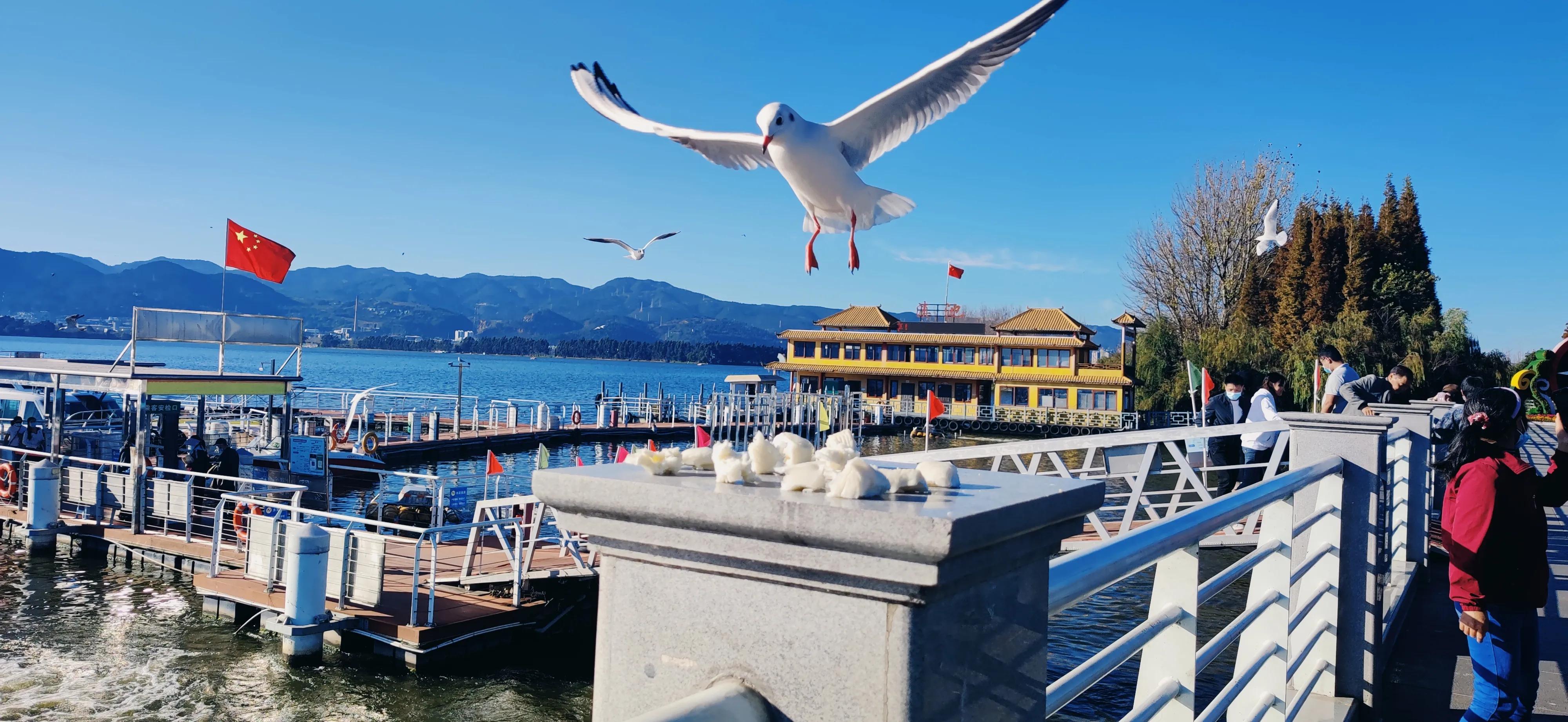 昆明周边一日游旅游景点,昆明旅游必去七大景点推荐