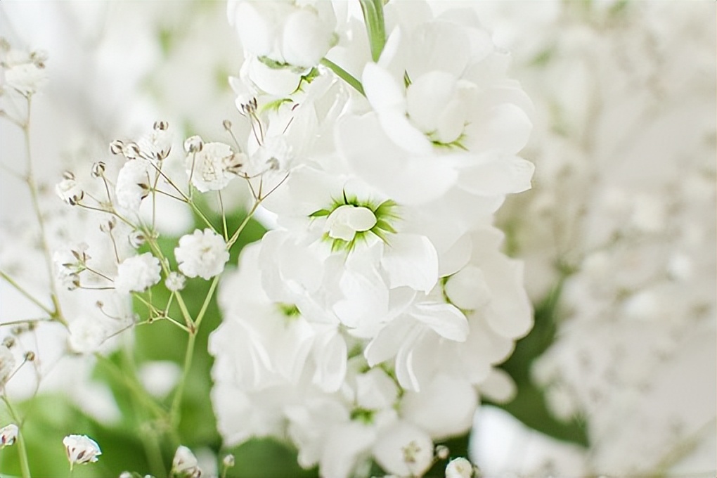 药学硕士推荐防晒霜,如何选择化学物理防晒