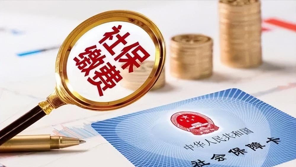 关于社保挂靠代缴违法网友的看法,社保挂靠违法的法律条文